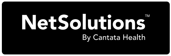 Logo NetSolutions